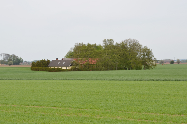 Bäckadal 1